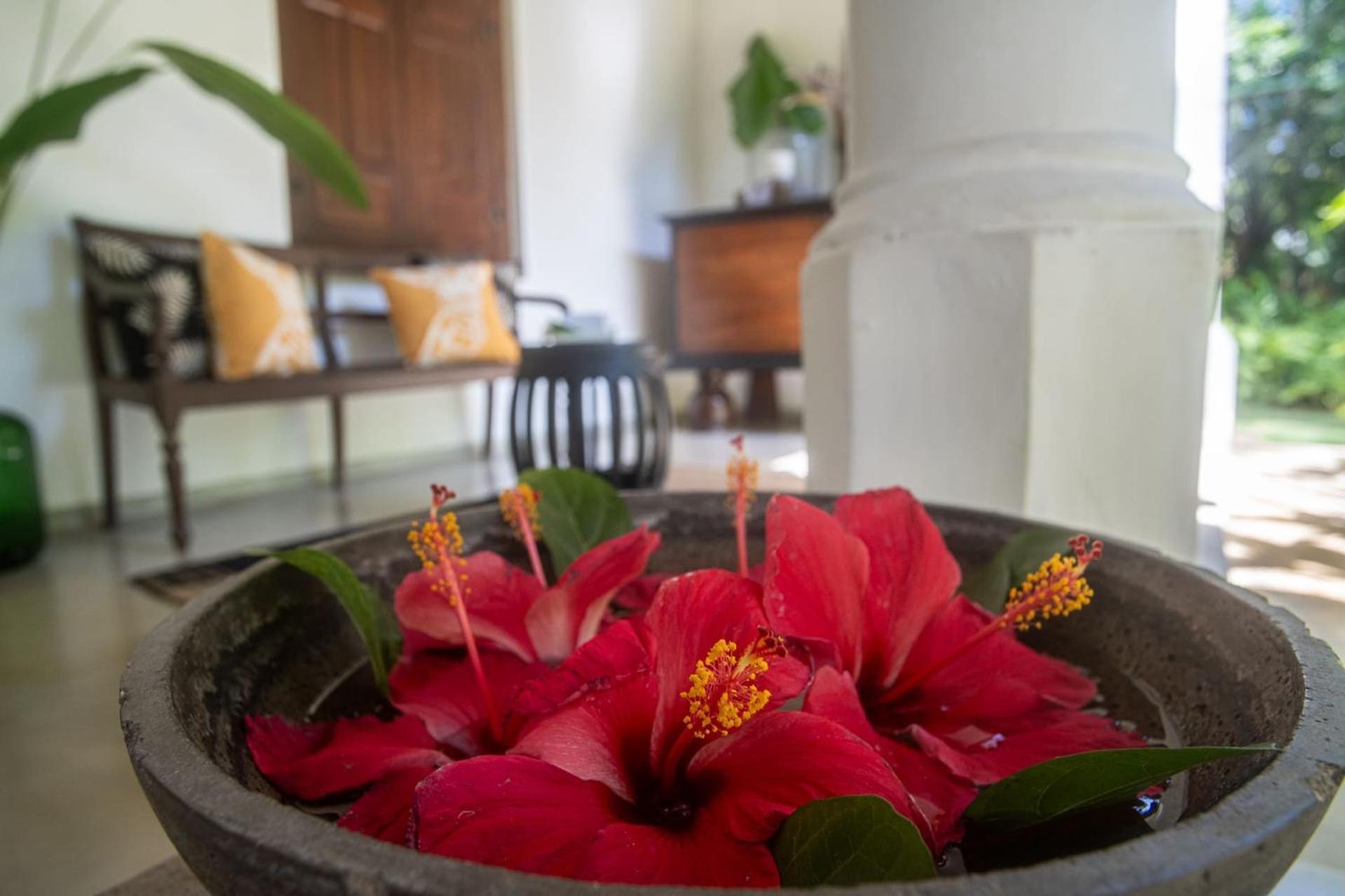 Mo River House Luxury Villa Hikkaduwa Exteriér fotografie