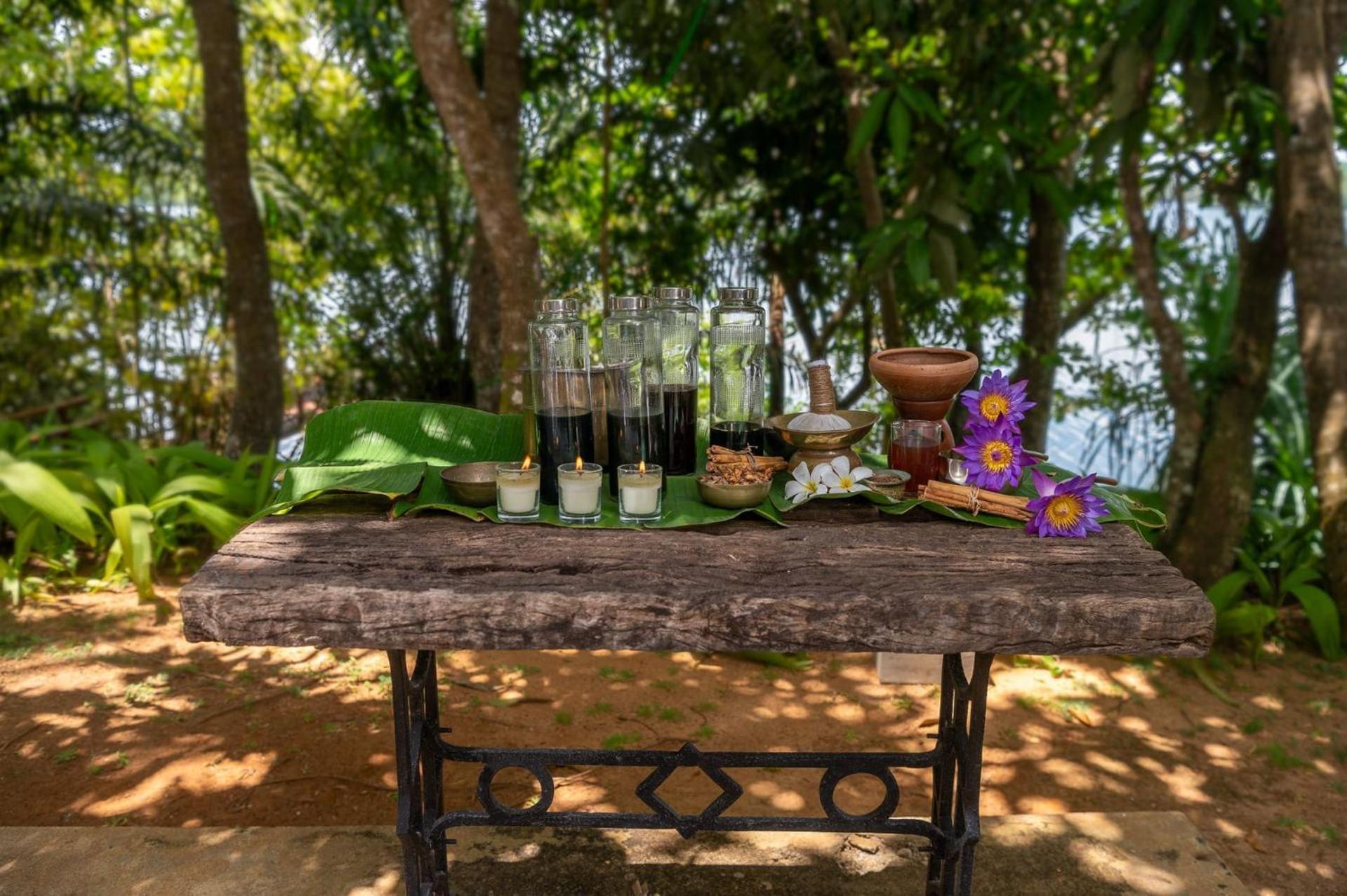 Mo River House Luxury Villa Hikkaduwa Exteriér fotografie